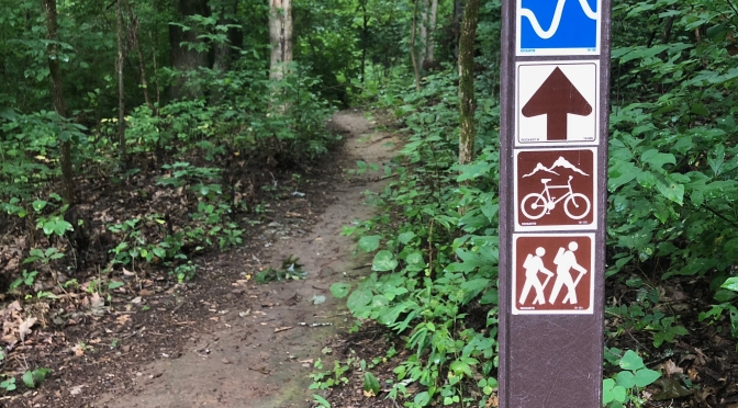 Thunderstorms Bring Trail Damage